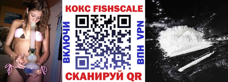 COCAIN Fish Scale  дарнет шоп  Облучье 