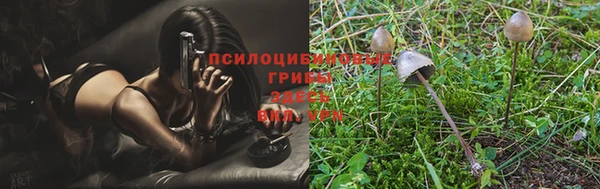 ECSTASY Баксан