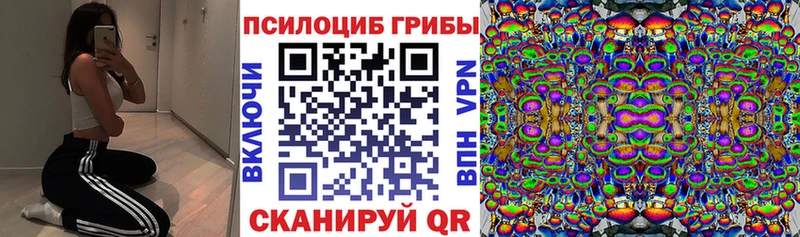 Галлюциногенные грибы GOLDEN TEACHER  Облучье 